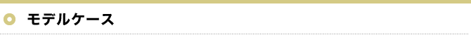 モデルケース